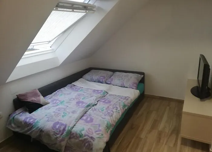 Apartma Maricka 公寓