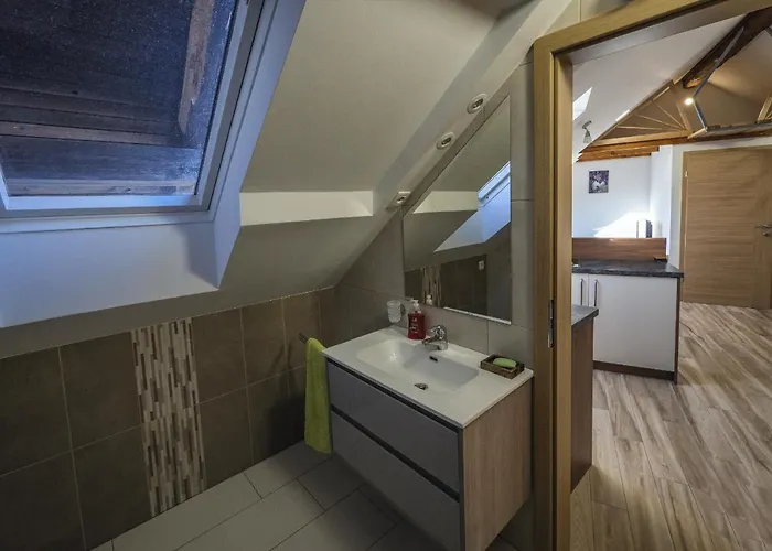 Apartma Maricka 公寓 *